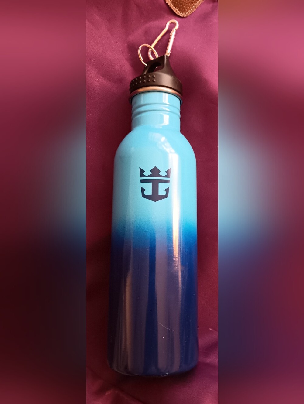 Caribbean Blue Gradient Stainless Steel Water Bottle with Carabiner